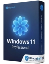 Microsoft Windows 11 Professional