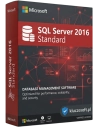 Microsoft SQL Server 2016 Standard 24 Core