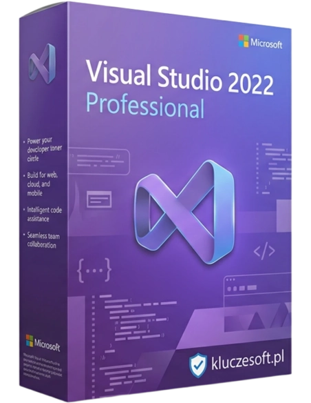 Microsoft Visual Studio 2022 Professional