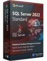 Microsoft SQL Server 2022 Standard 24 Core