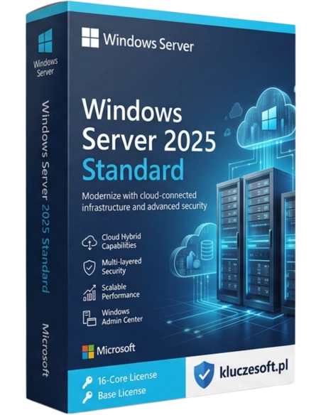 Windows Server 2025 Standard 100 Users