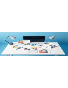 Microsoft 365 Business Standard — 12 Months