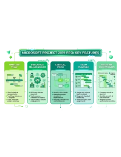 Microsoft Project 2019 Professional