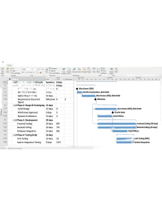 Microsoft Project 2019 Professional