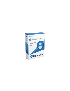 Microsoft Windows Server 2025 — 1 User CAL