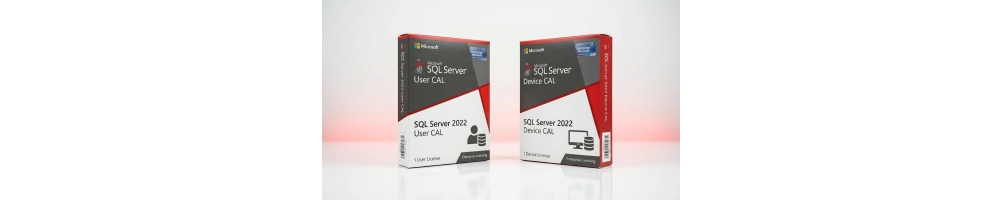 SQL Server CALs