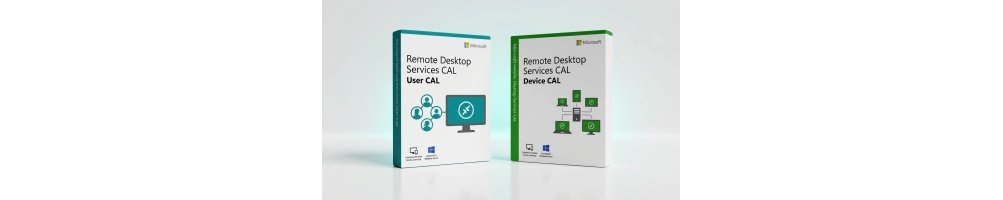 Remote Desktop Services CALs